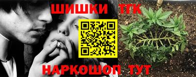 МДПВ Гай