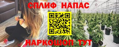 соль ск Гатчина
